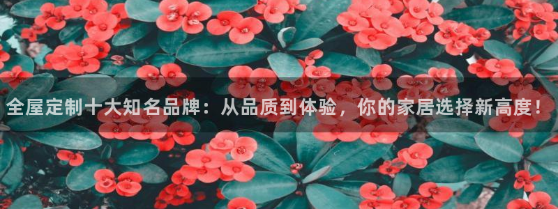 BB电子锁怎么接电