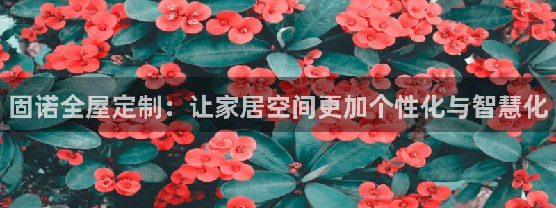 bB电子琴和弦
