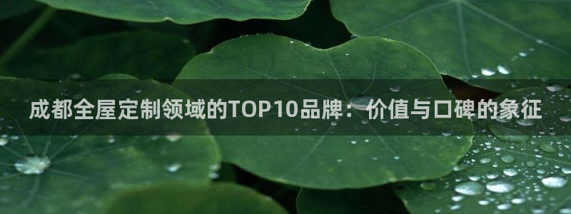 bb电子怎么英语怎么说