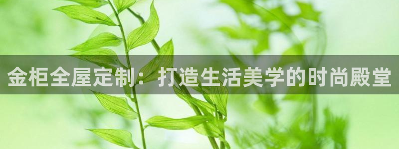 bb电子哪个平台好用