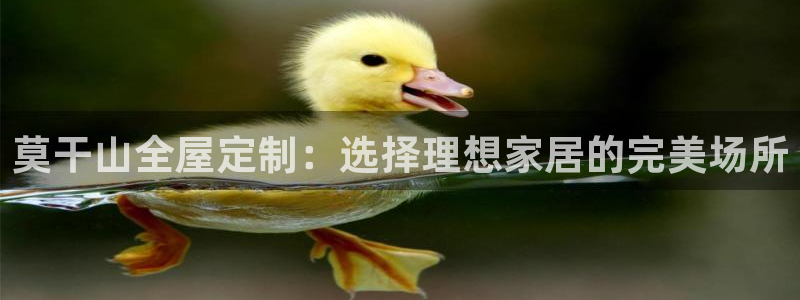 bb电子最简单设置方法