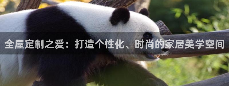 bb电子哪个平台好一点