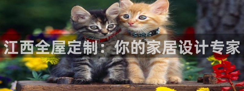 BB电子哪个平台好出款