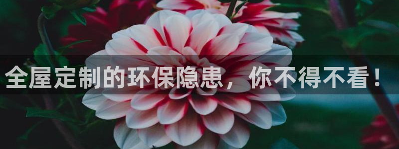 Bb电子琴和弦是哪个