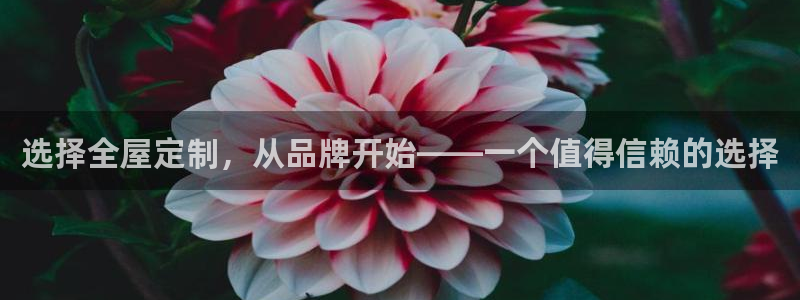 bb电子为什么总赢不了