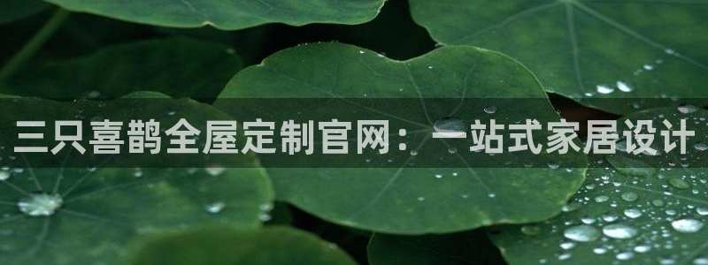 bb电子哪个平台好用点