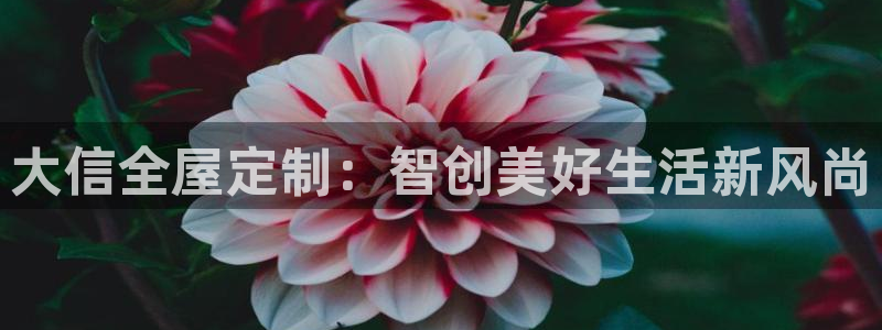 bb电子官网登录