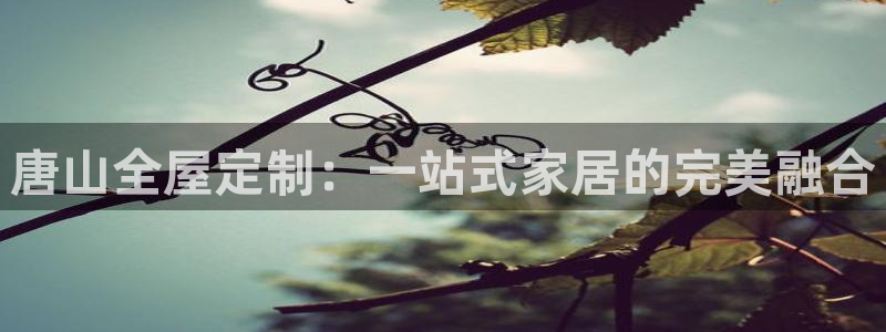 BB电子锁怎么接电