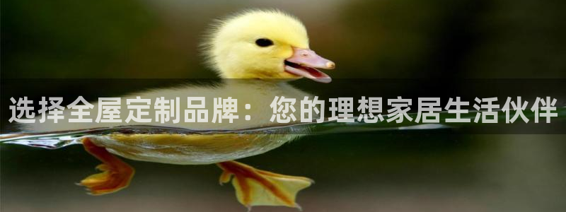 BB电子麻将胡了