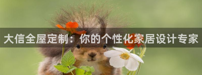 bb电子哪个平台好啊