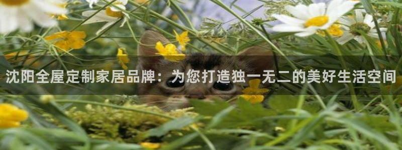 BB电子锁怎么接电