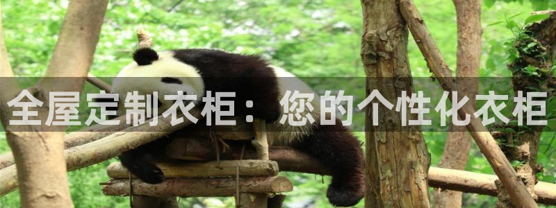 bb电子官网登录