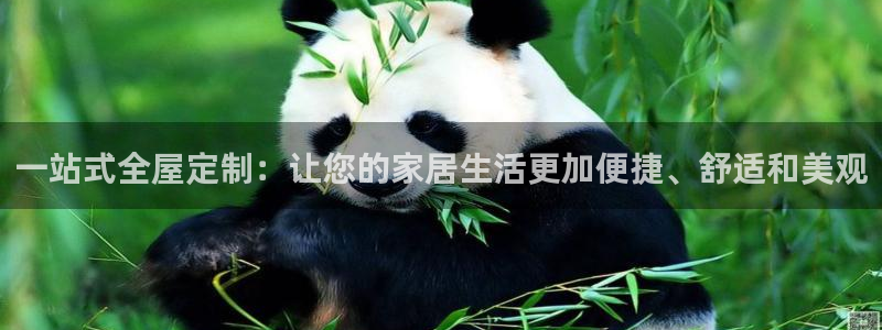 bb电子哪个平台好点