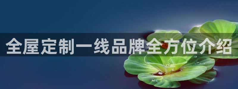 bb电子哪个平台好点